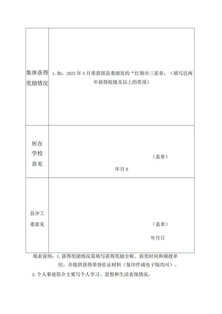 “白沙县优秀少先队大队”推荐表.docx_第2页