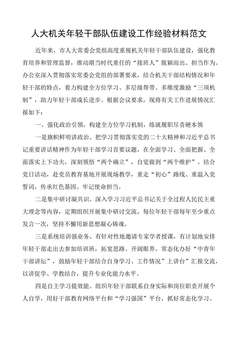 人大机关年轻干部队伍建设工作经验材料总结汇报报告.docx_第1页