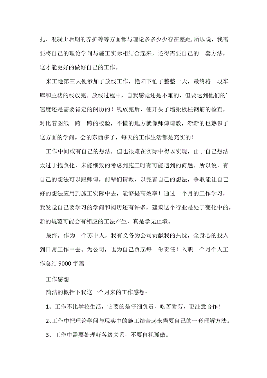 入职一个月个人工作总结9000字.docx_第2页