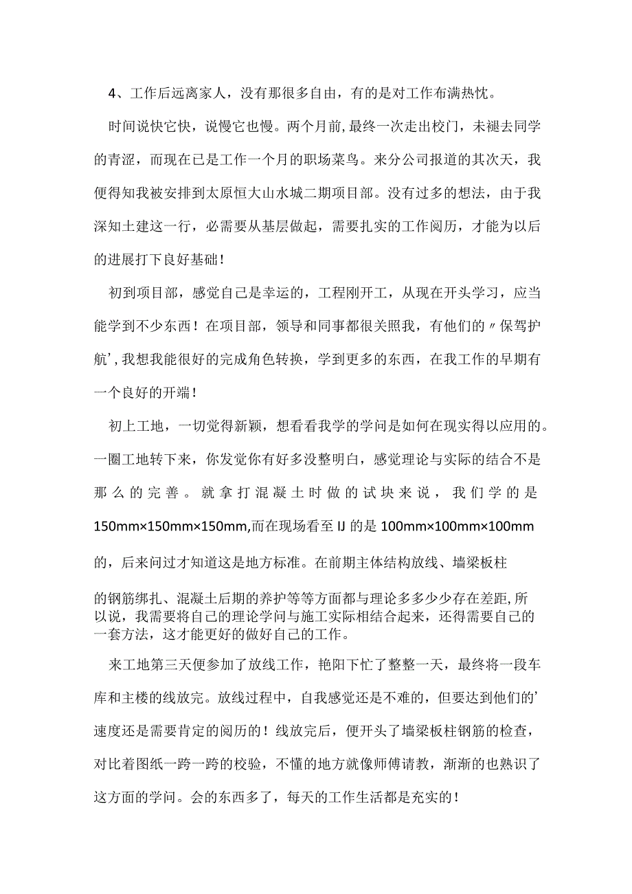 入职一个月个人工作总结9000字.docx_第3页