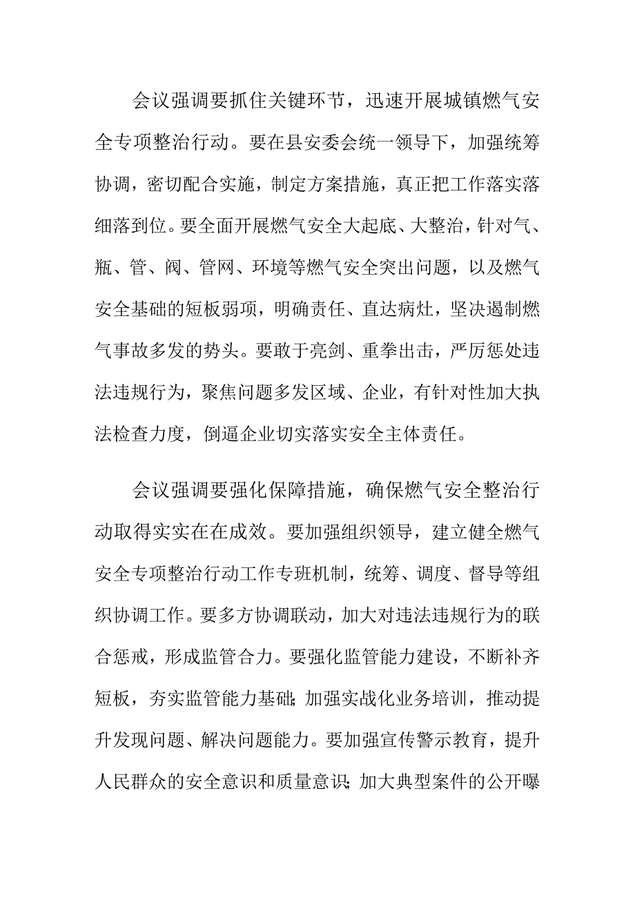 X市场监管部门召开城镇燃气安全专项整治工作会会议纪要.docx_第2页