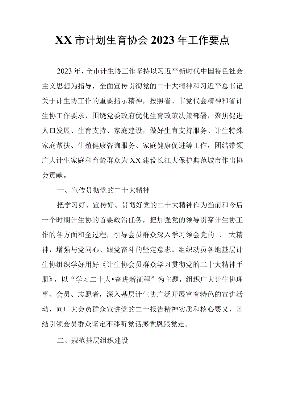 XX市计划生育协会2023年工作要点.docx_第1页