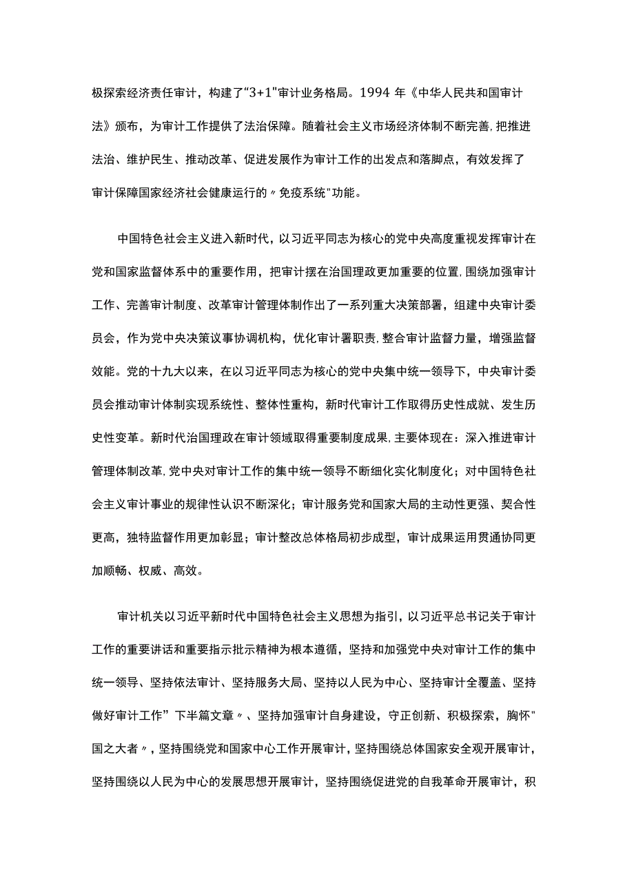 做好新时代审计工作心得体会发言.docx_第2页