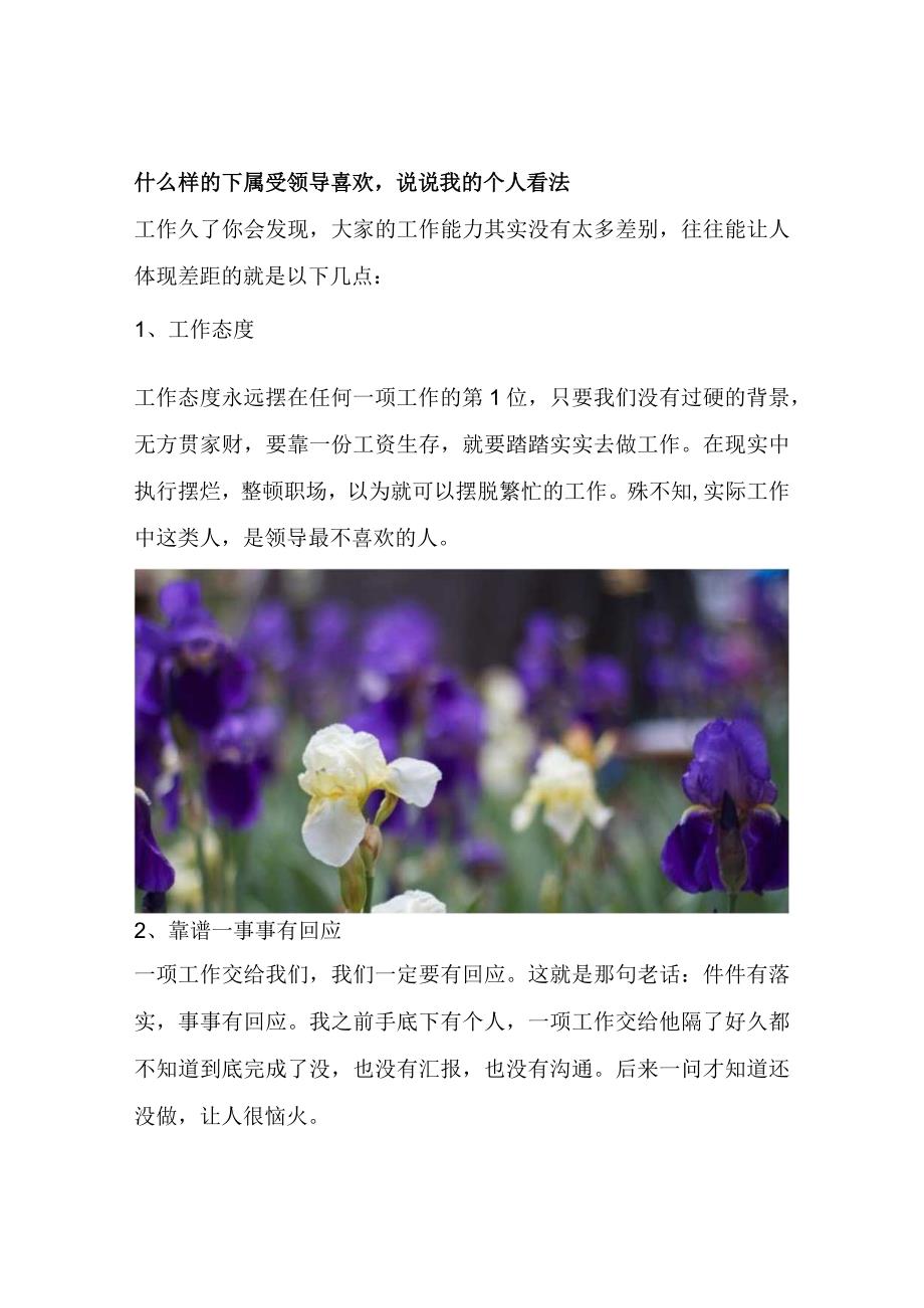 什么样的下属受领导喜欢说说我的个人看法.docx_第1页