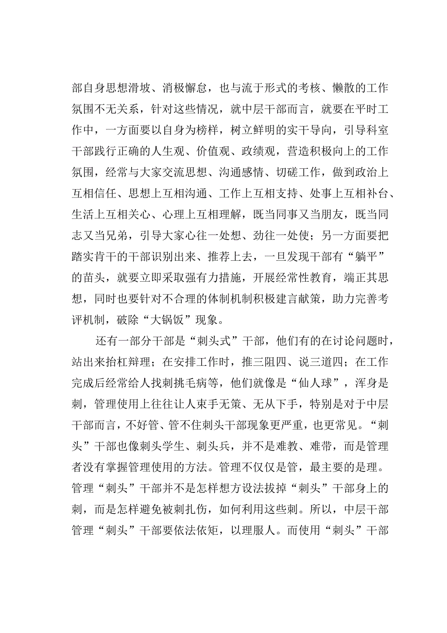 关于中层干部的研讨发言.docx_第2页