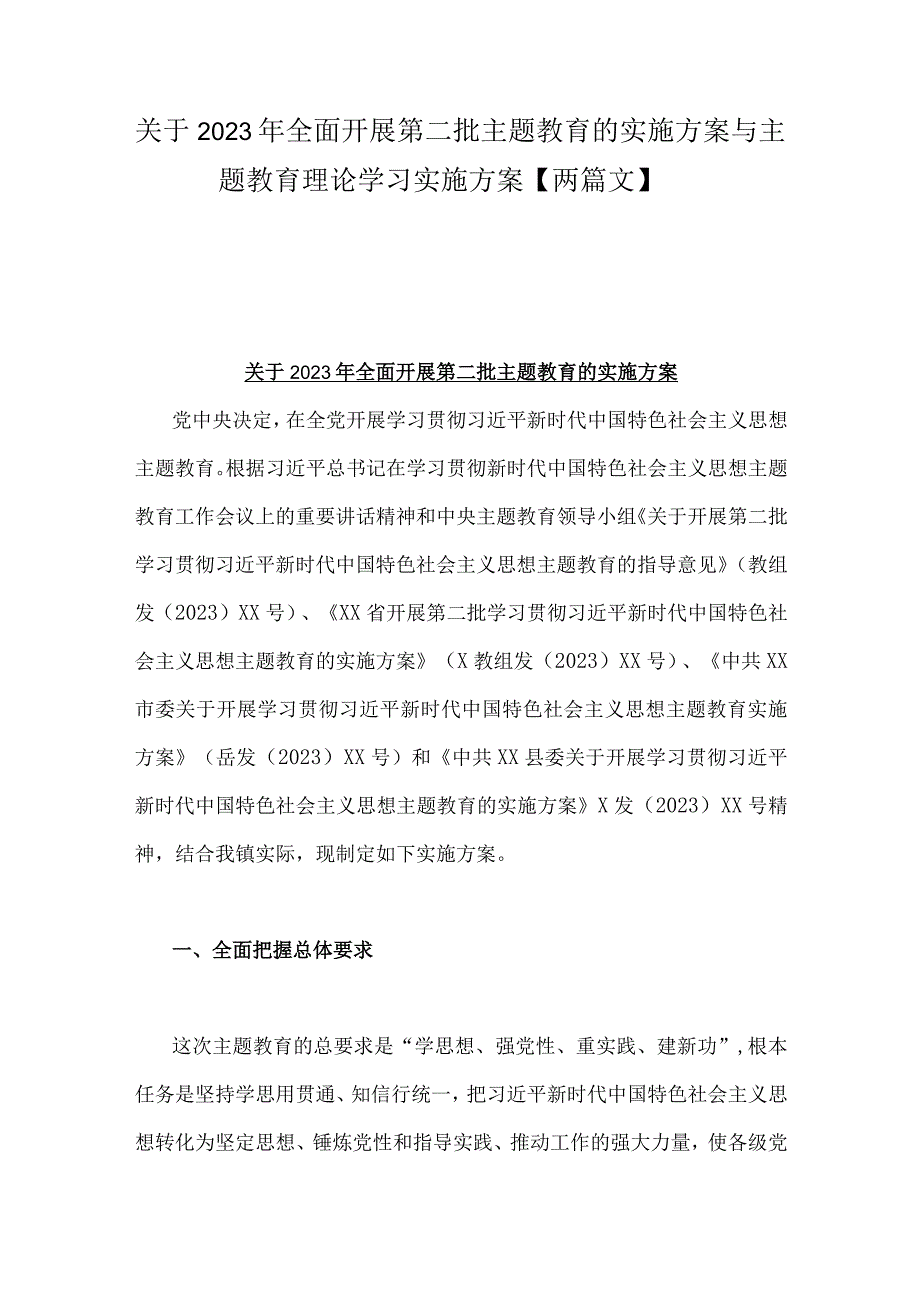 关于2023年全面开展第二批主题教育的实施方案与主题教育理论学习实施方案【两篇文】.docx_第1页