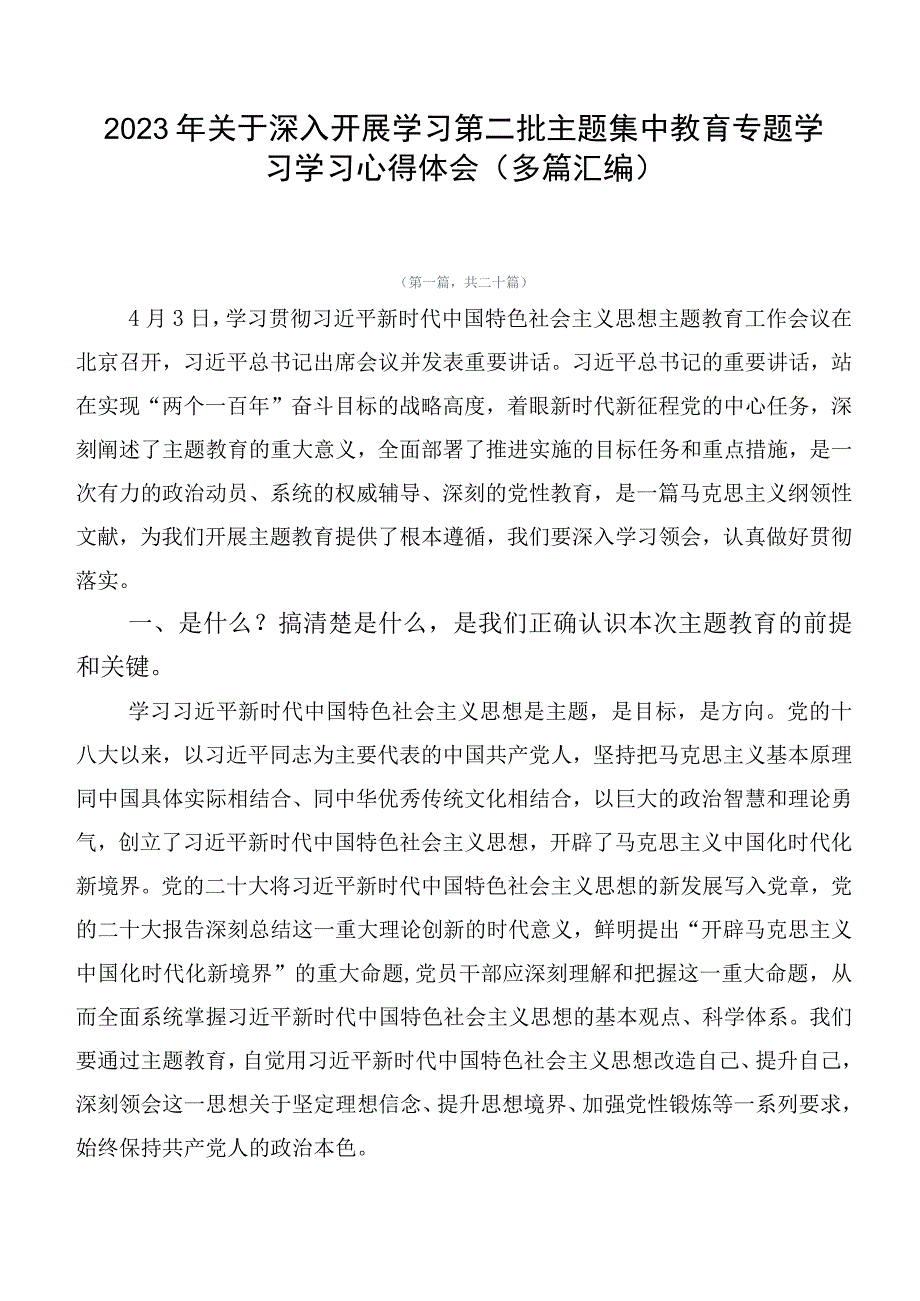 2023年关于深入开展学习第二批主题集中教育专题学习学习心得体会（多篇汇编）.docx_第1页