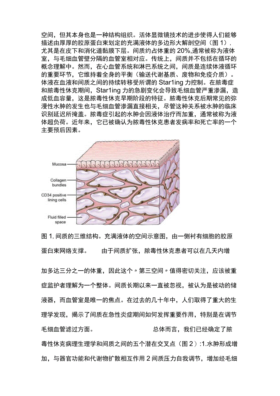 2023脓毒性休克期间间质的作用.docx_第2页