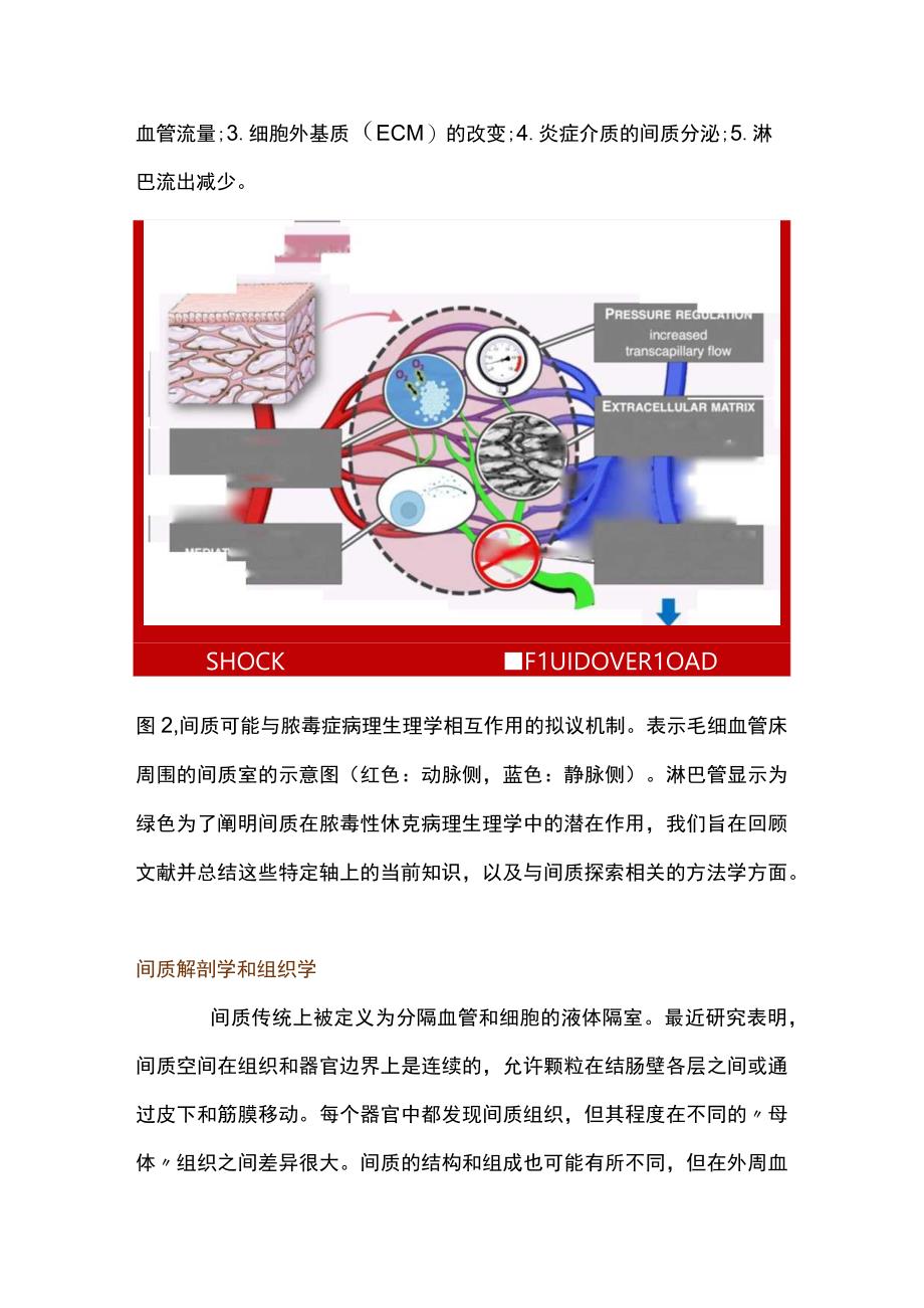 2023脓毒性休克期间间质的作用.docx_第3页