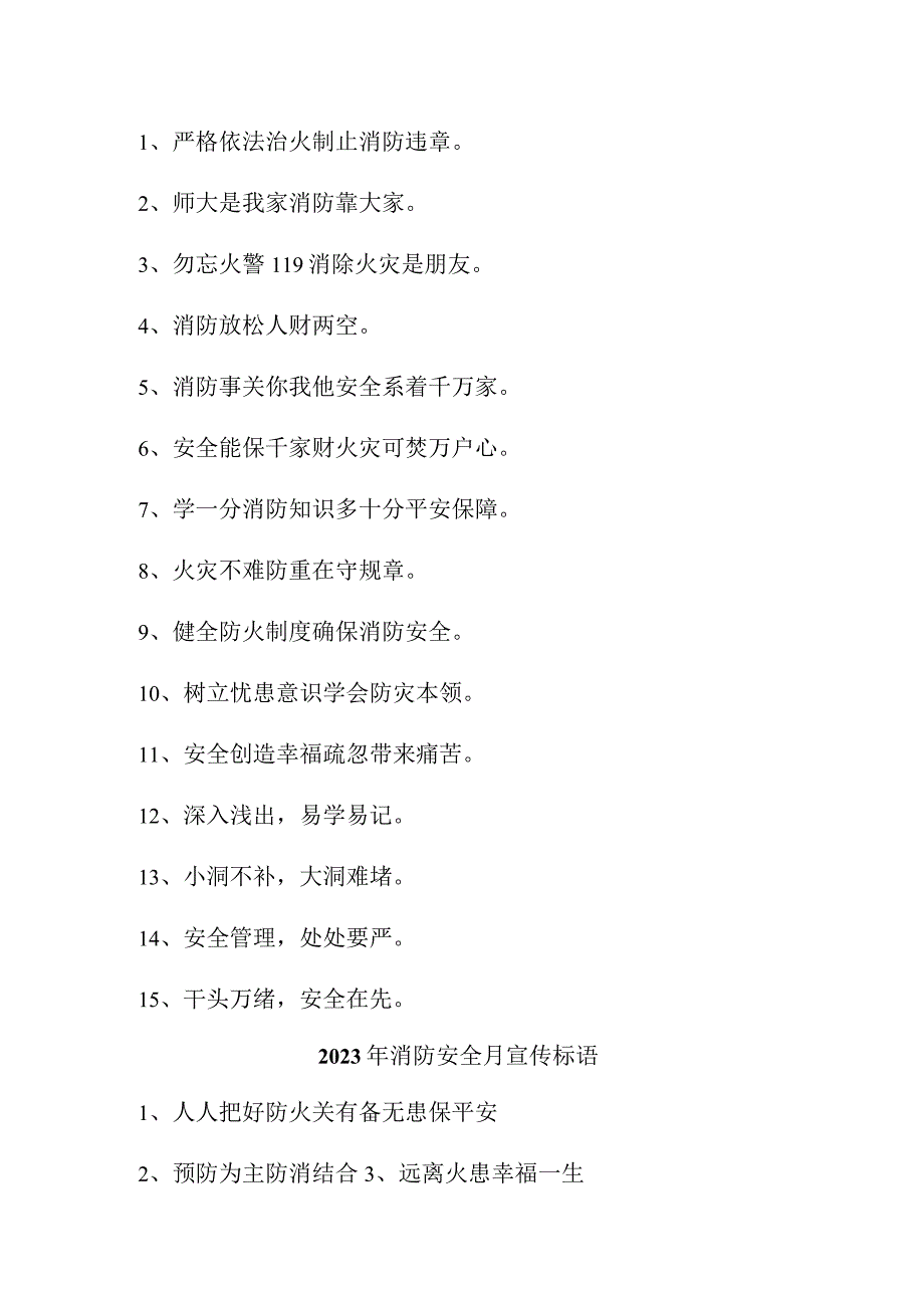 2023年工贸企业《消防安全月》宣传标语（4份）.docx_第2页