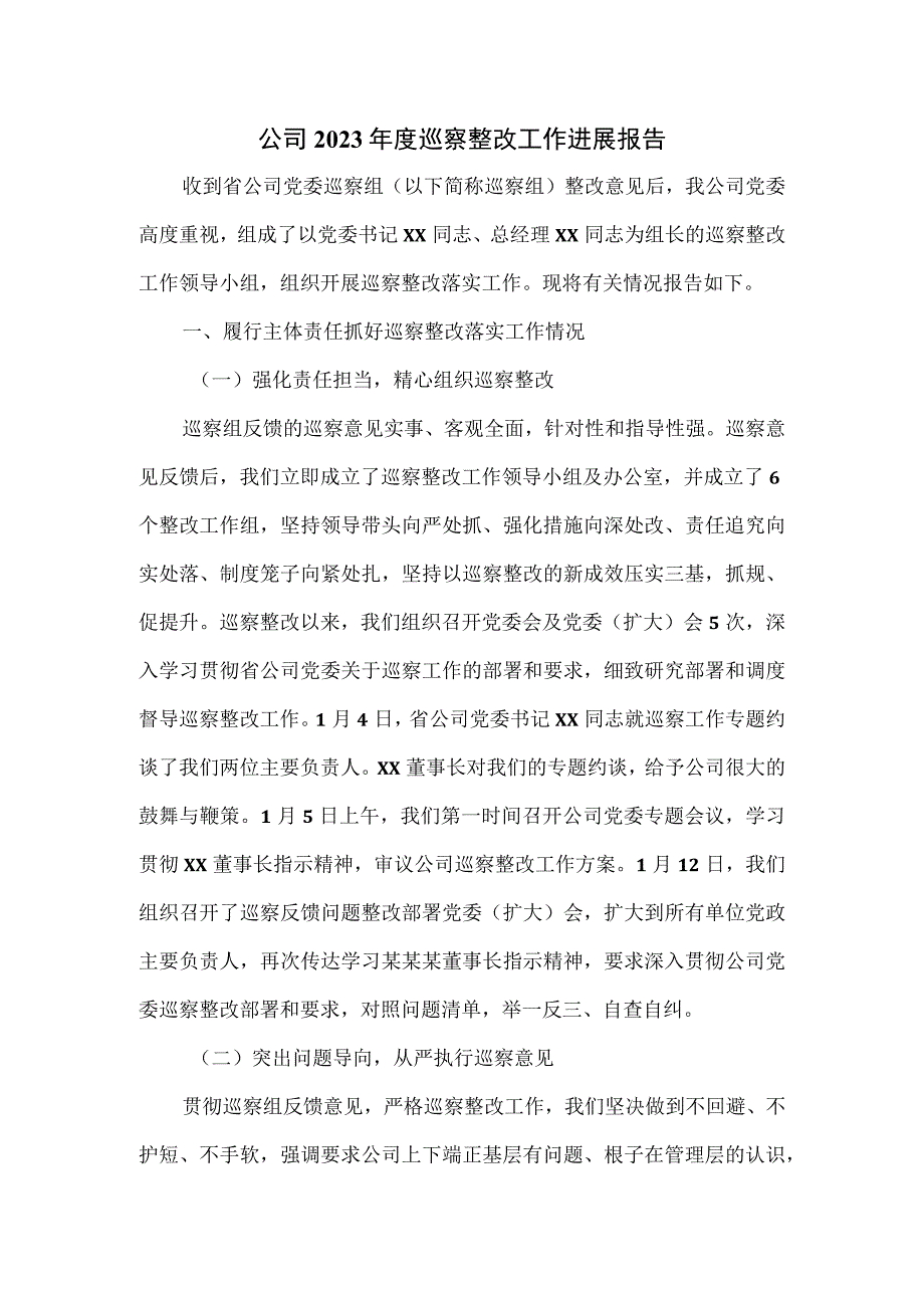 公司2023年度巡察整改工作进展报告.docx_第1页