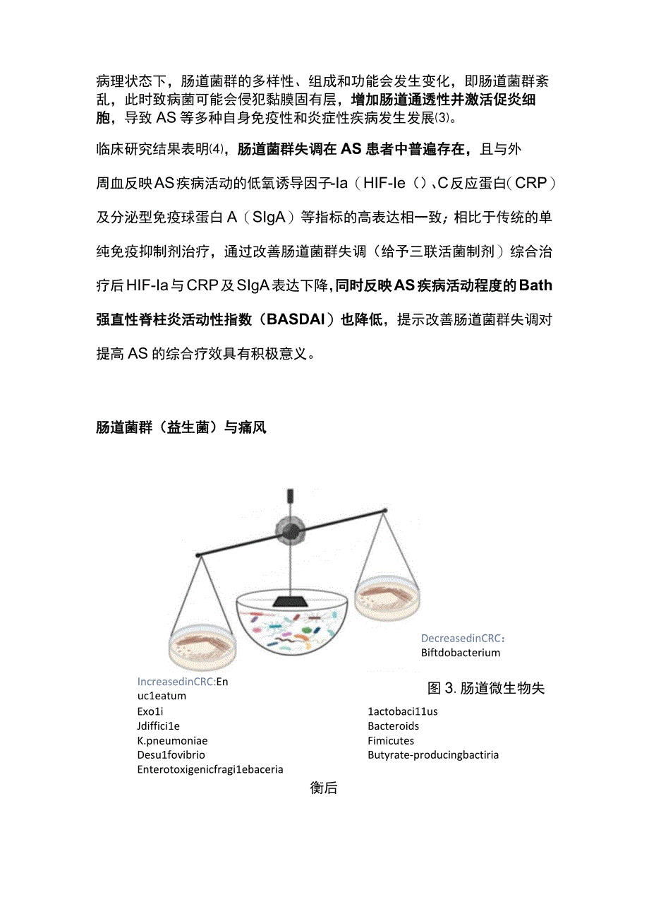 2023益生菌与六种风湿免疫性疾病的关系.docx_第3页