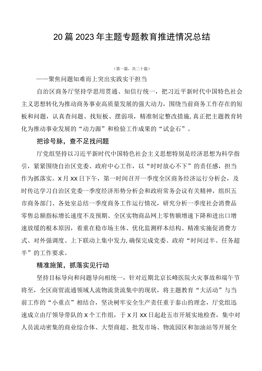 20篇2023年主题专题教育推进情况总结.docx_第1页