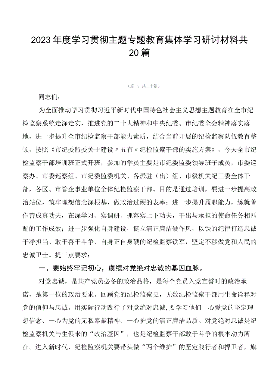 2023年度学习贯彻主题专题教育集体学习研讨材料共20篇.docx_第1页