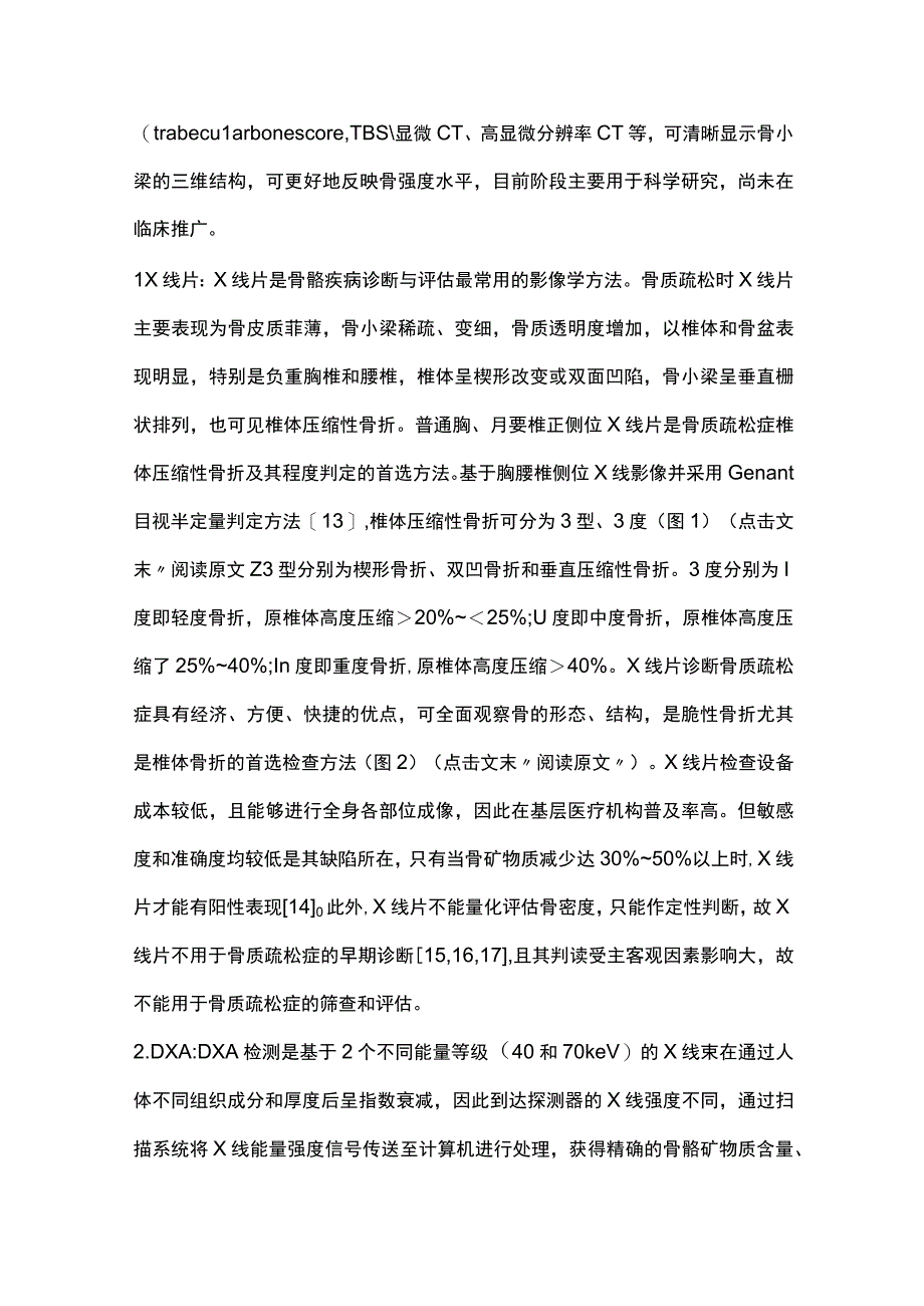 2023原发性骨质疏松症的影像学检查与诊断.docx_第3页