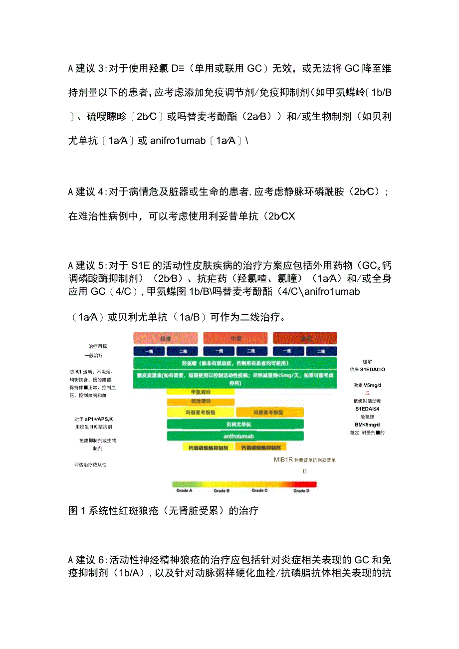 2023版EULAR狼疮管理建议速览（附治疗流程图）.docx_第3页