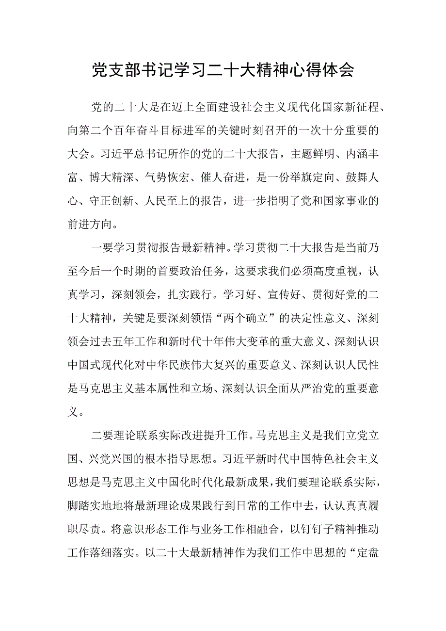 党支部书记学习二十大精神心得体会.docx_第1页