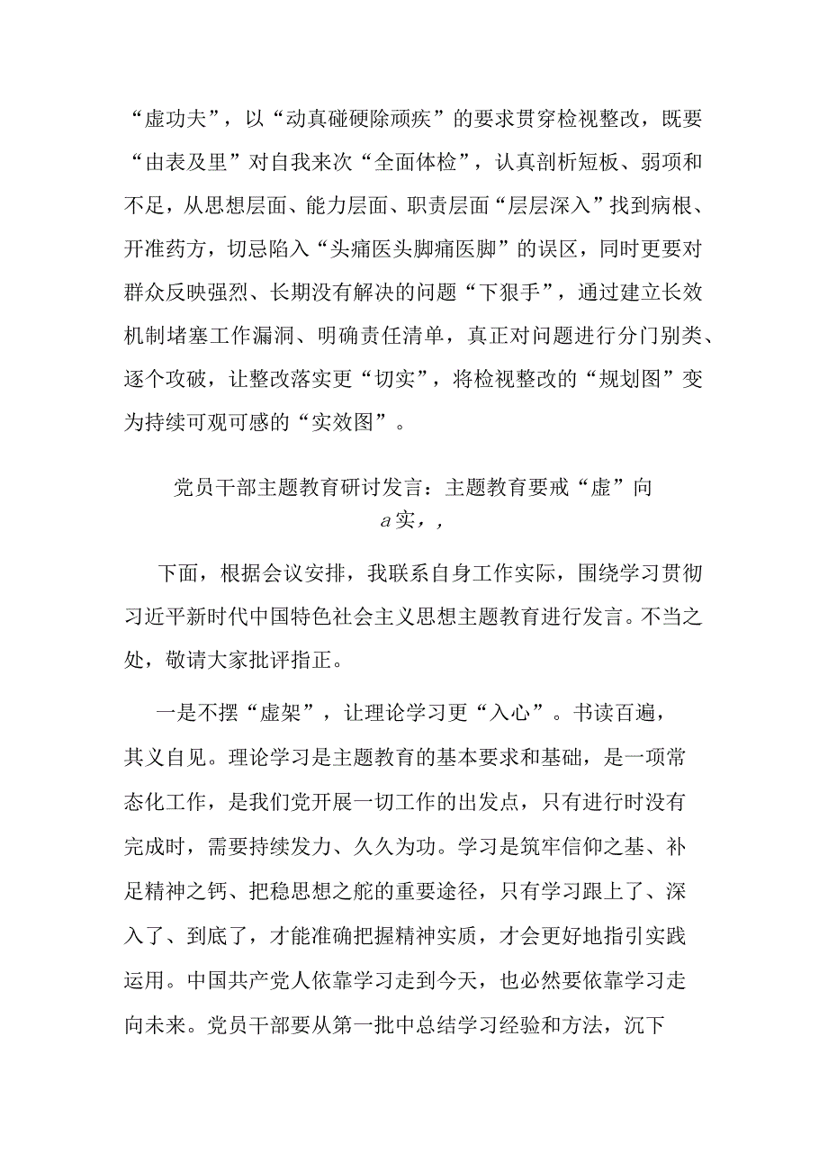 党员干部主题教育研讨发言：主题教育要戒“虚”向“实”(二篇).docx_第3页