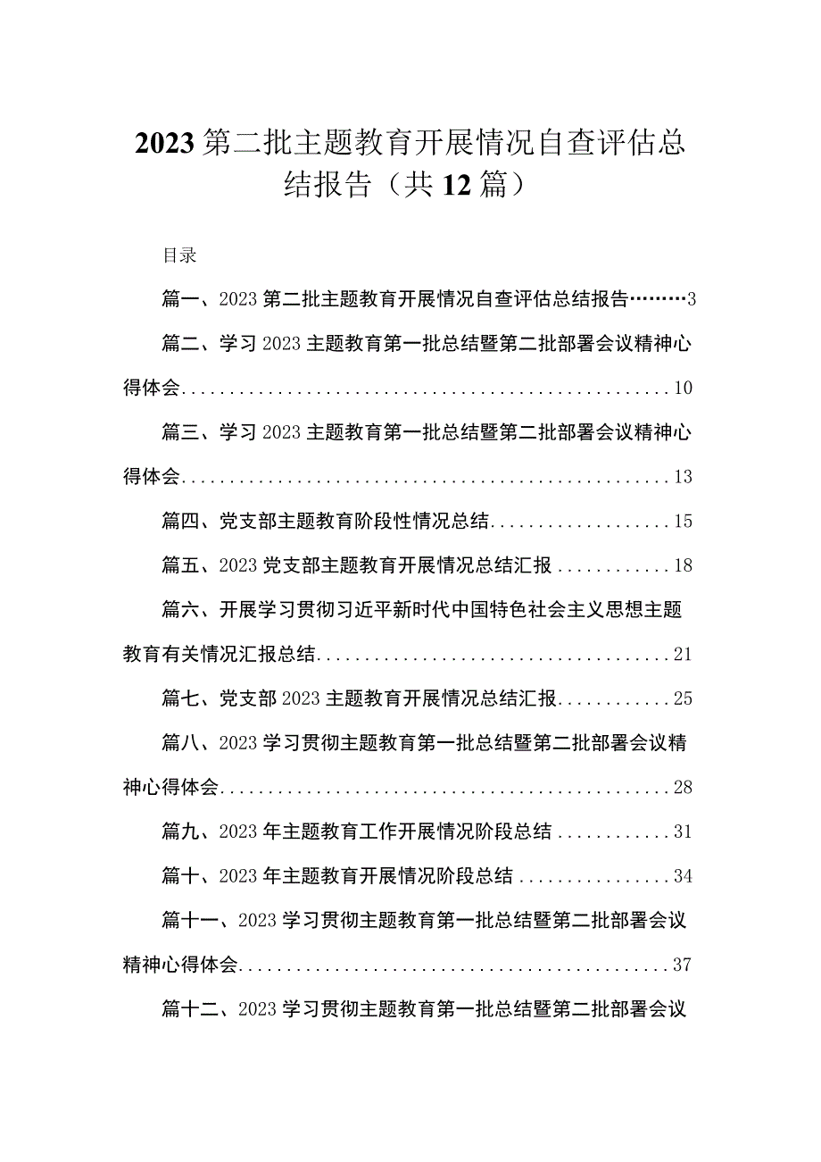 2023第二批主题教育开展情况自查评估总结报告12篇(最新精选).docx_第1页