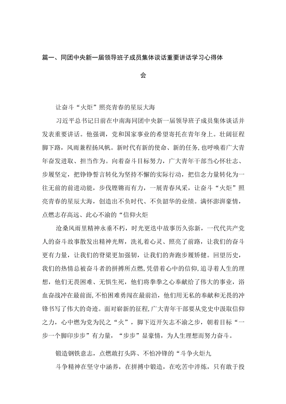 2023同团中央新一届领导班子成员集体谈话重要讲话学习心得体会（共10篇）.docx_第3页