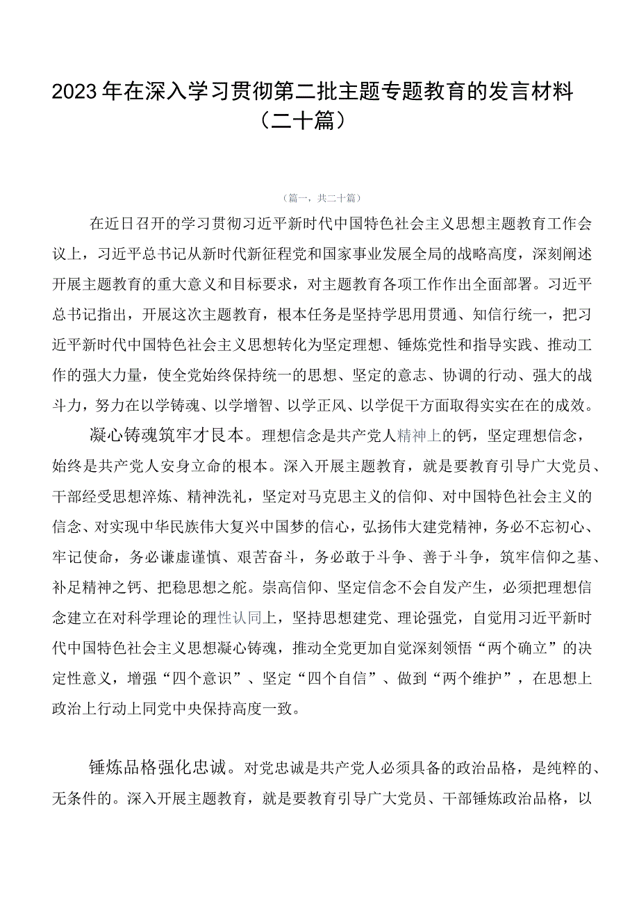 2023年在深入学习贯彻第二批主题专题教育的发言材料（二十篇）.docx_第1页