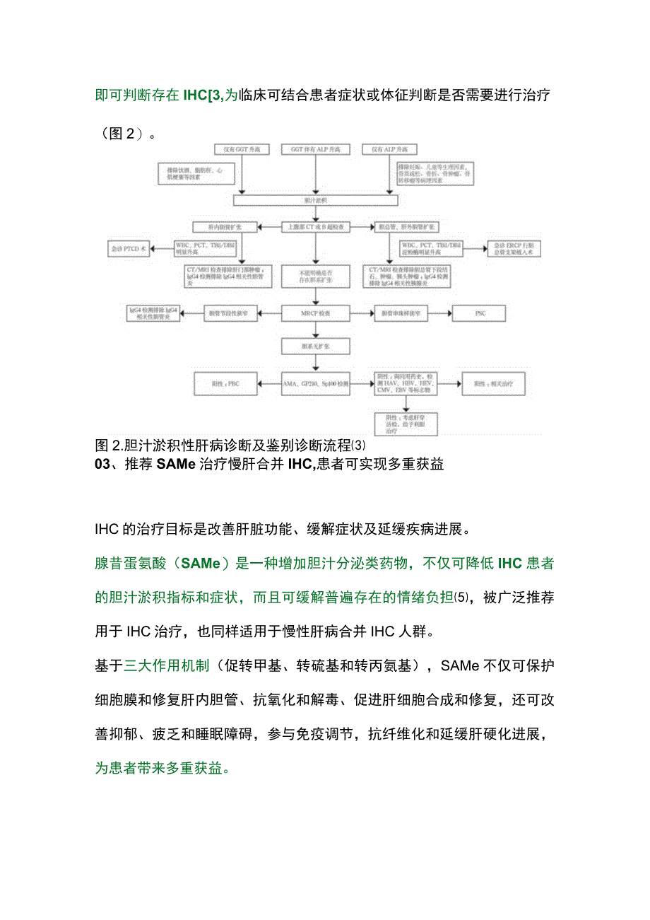 2023慢性肝病合并胆汁淤积症.docx_第3页