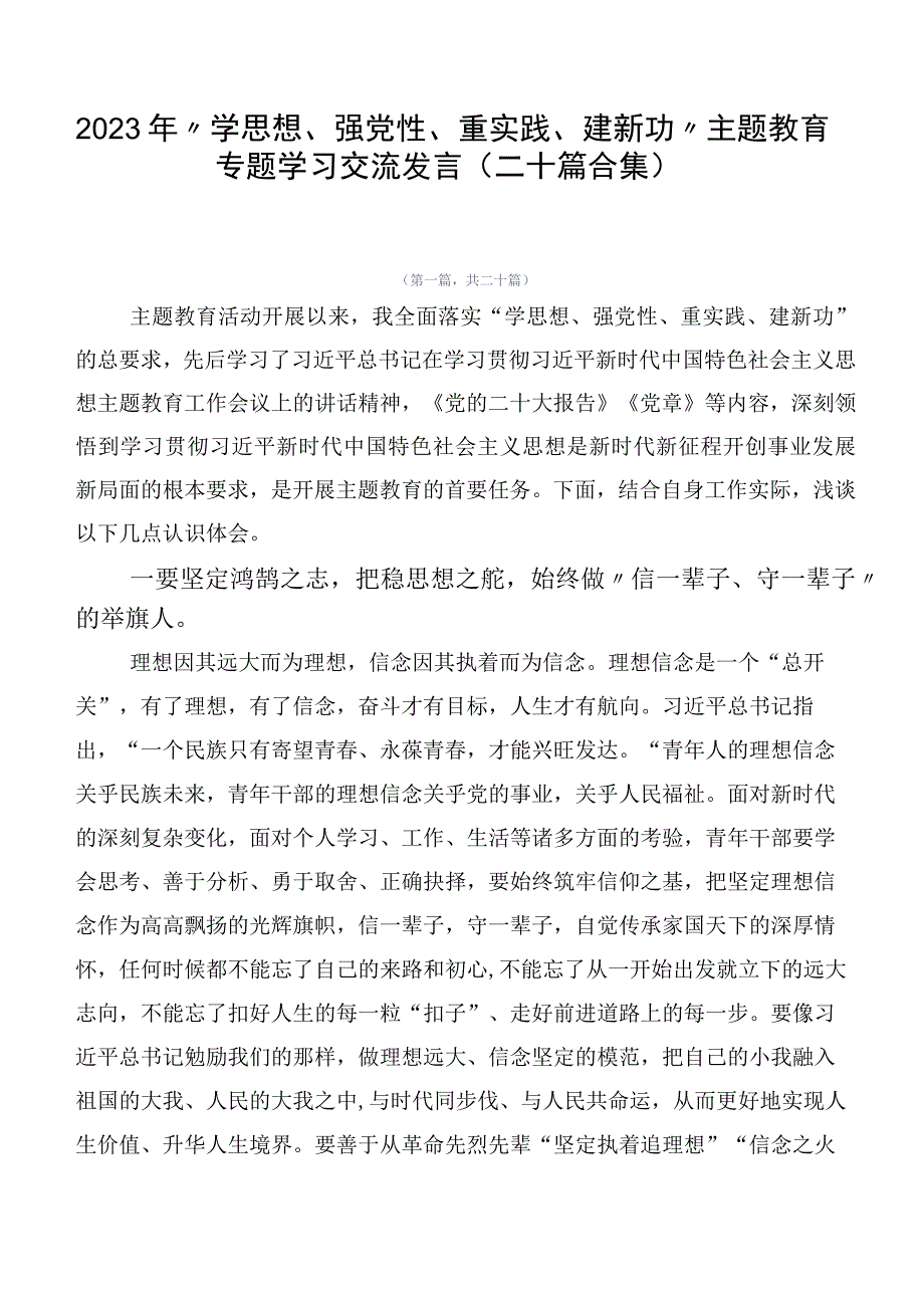 2023年“学思想、强党性、重实践、建新功”主题教育专题学习交流发言（二十篇合集）.docx_第1页