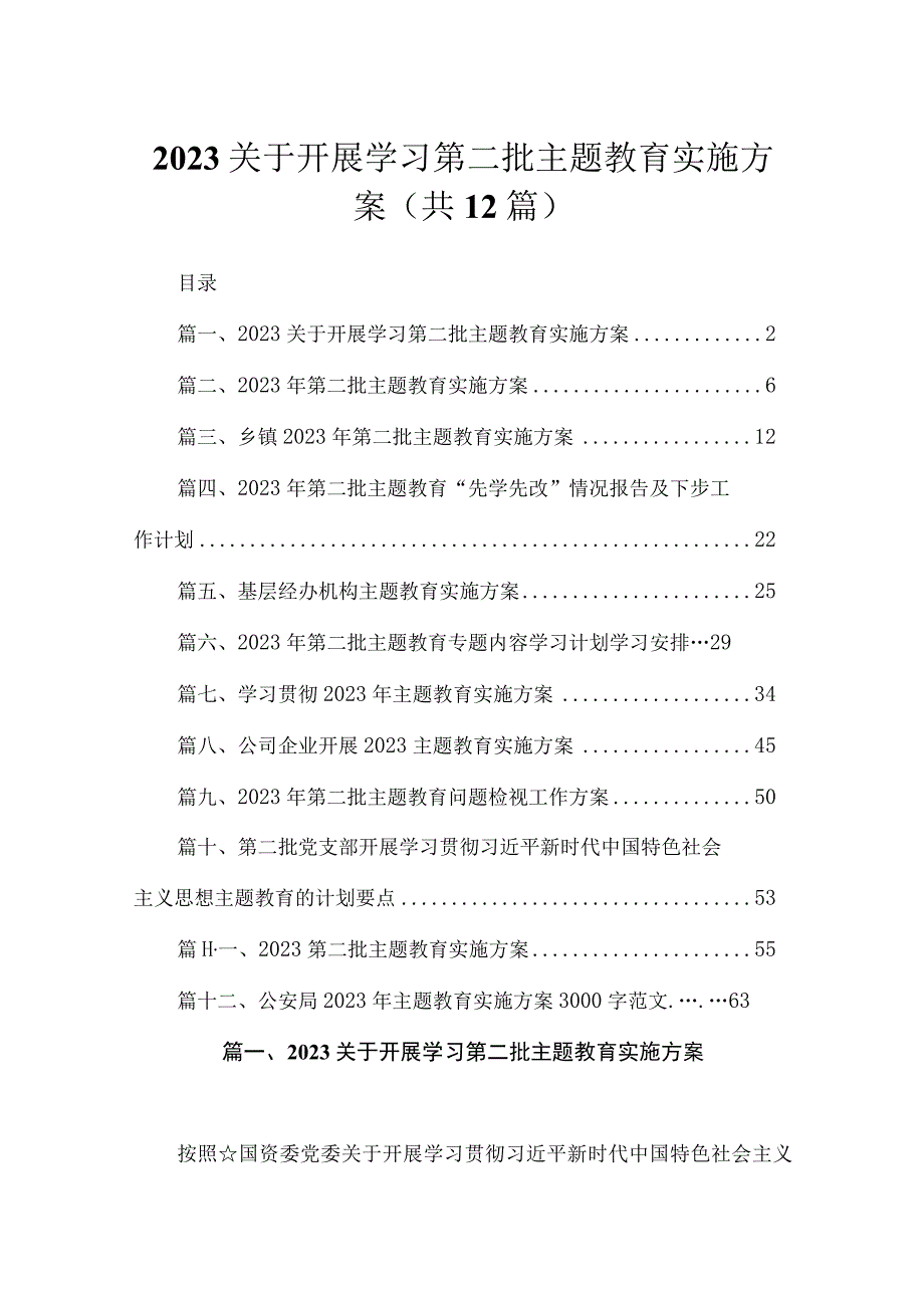 2023关于开展学习第二批主题教育实施方案范文精选(12篇).docx_第1页