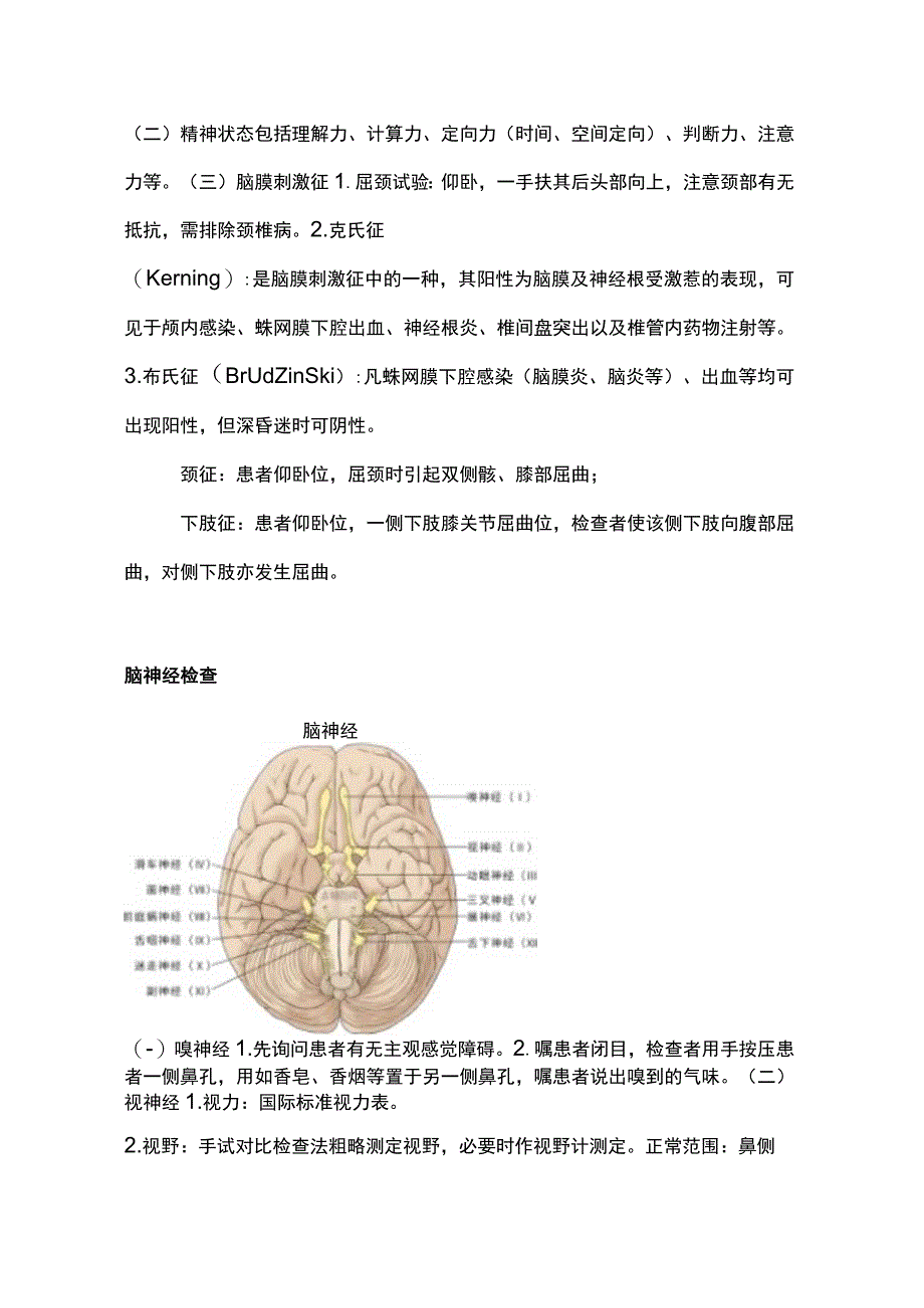 2023神经系统体格检查.docx_第2页