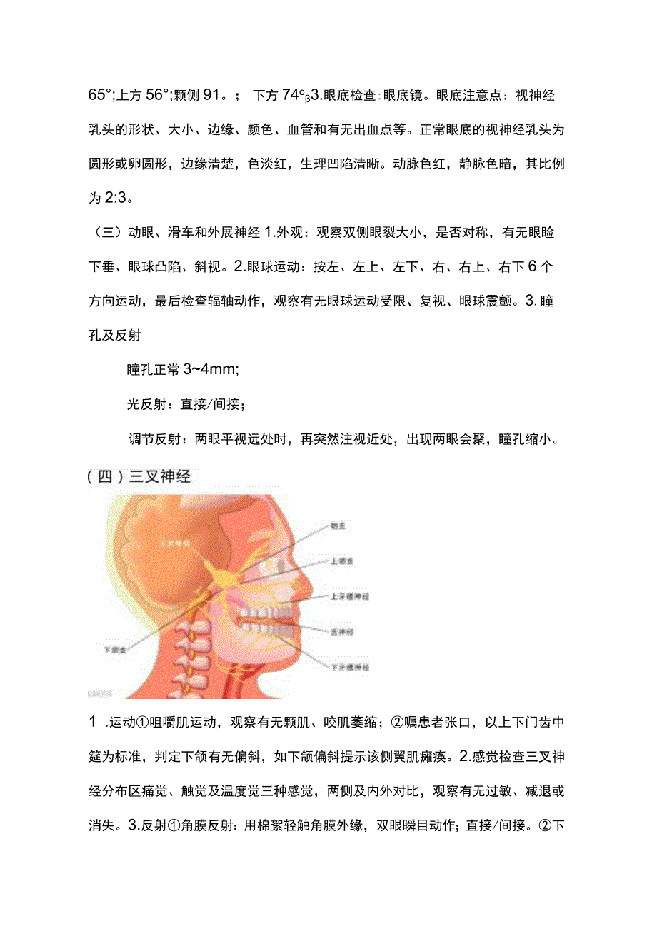 2023神经系统体格检查.docx_第3页