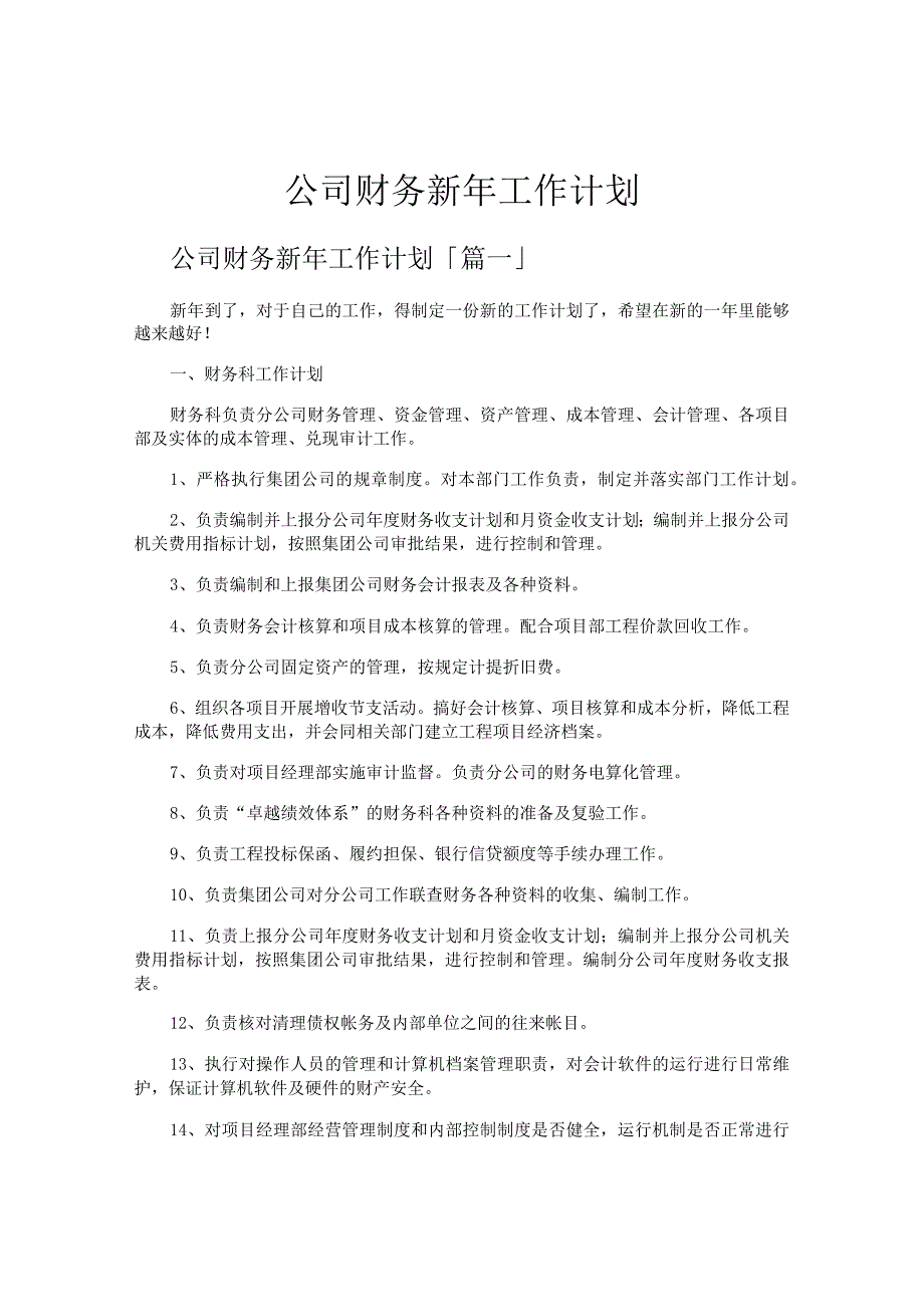 公司财务新年工作计划.docx_第1页