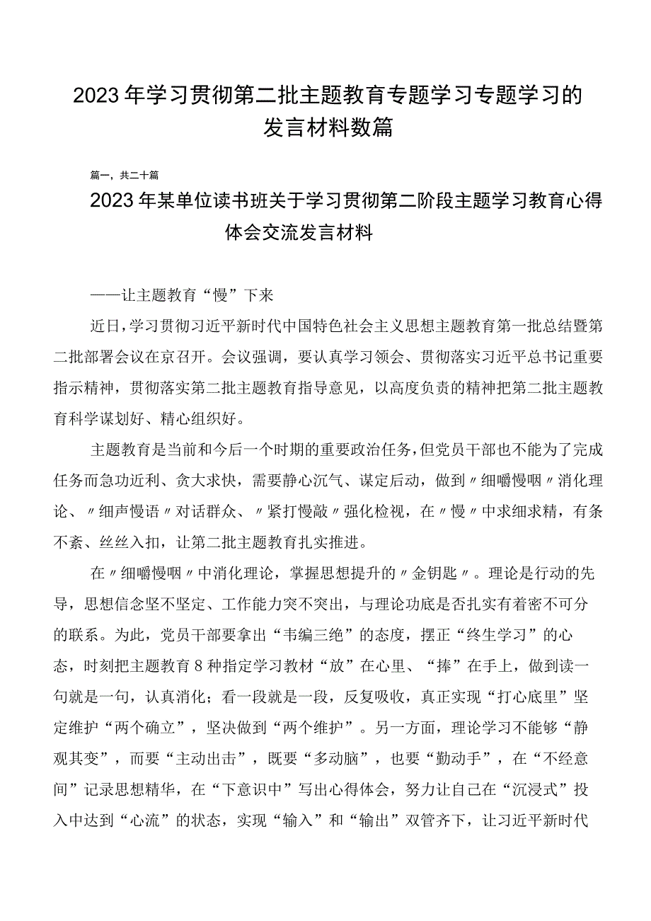 2023年学习贯彻第二批主题教育专题学习专题学习的发言材料数篇.docx_第1页