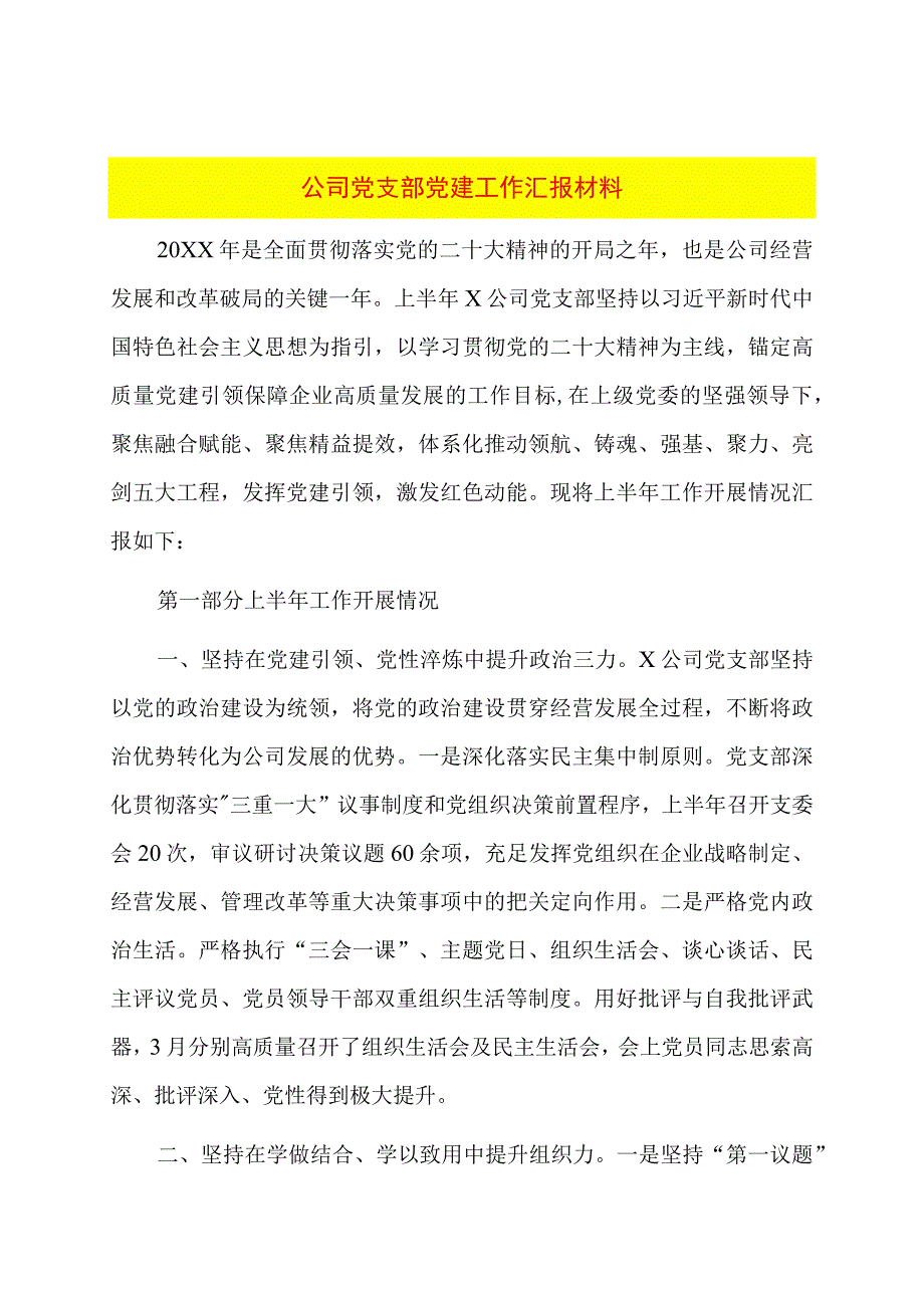 公司党支部党建工作汇报材料.docx_第1页