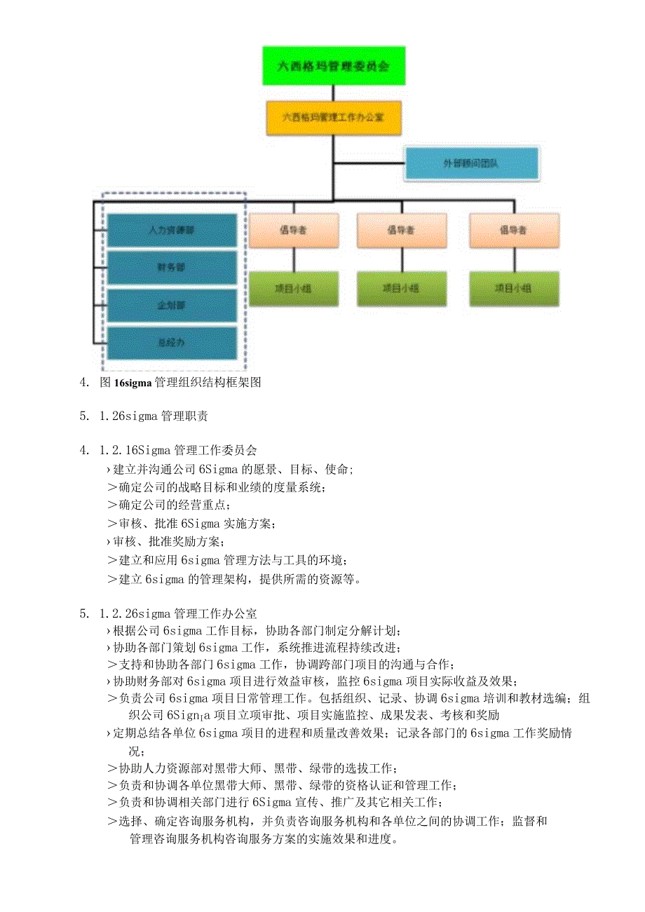 6 sigma管理办法.docx_第2页