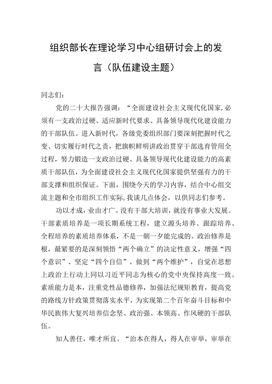 2023年组织部长在理论学习中心组研讨会上的发言（队伍建设主题）.docx_第1页