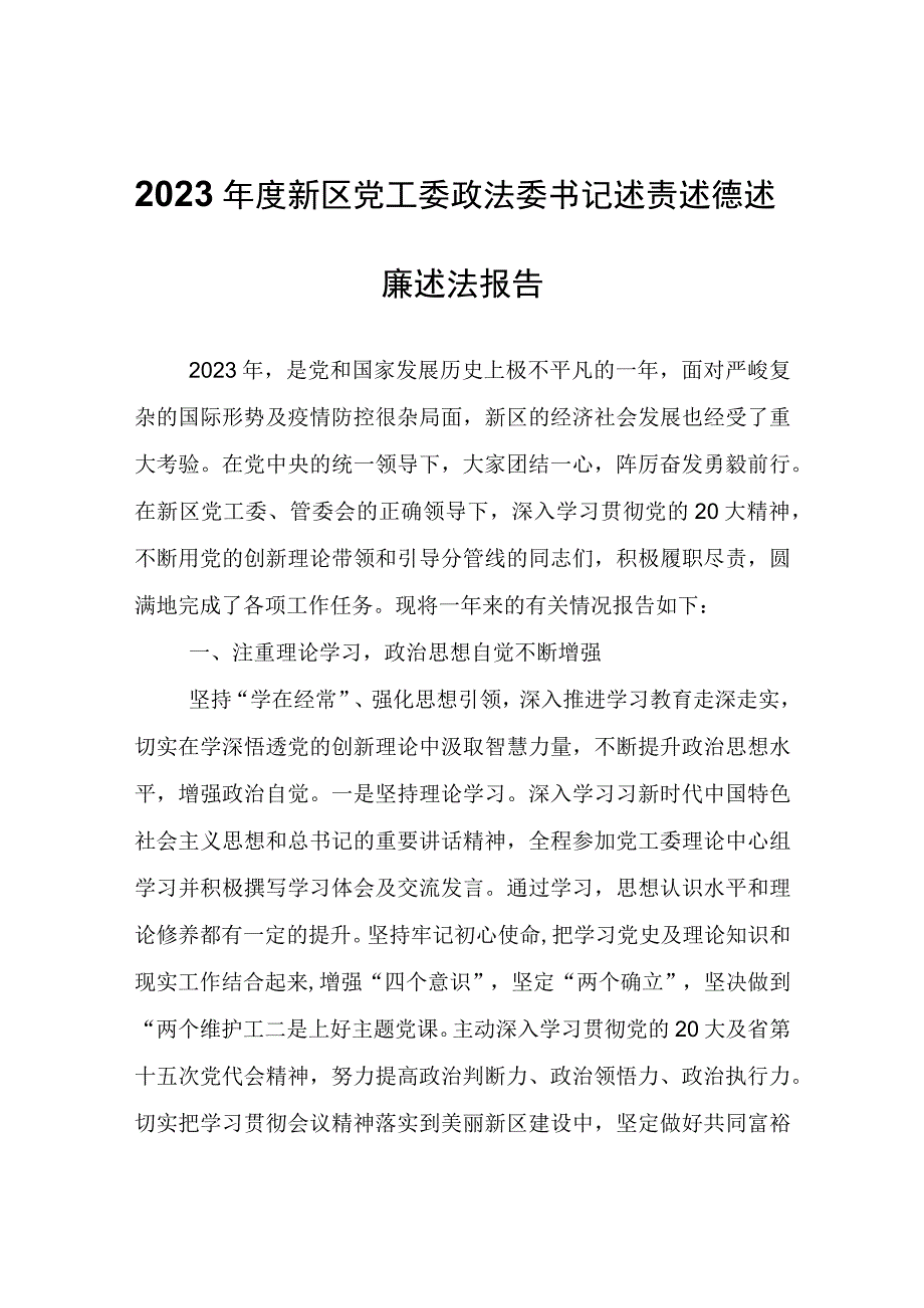 2022年度新区党工委政法委书记述责述德述廉述法报告.docx_第1页