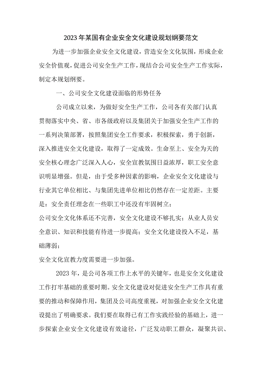 2023年某国有企业安全文化建设规划纲要范文.docx_第1页