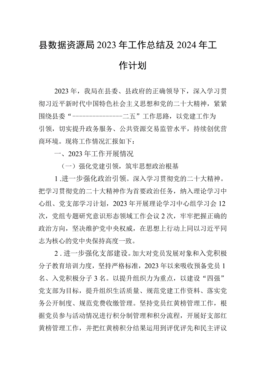 2023年县数据资源局2023年工作总结及2024年工作计划.docx_第1页