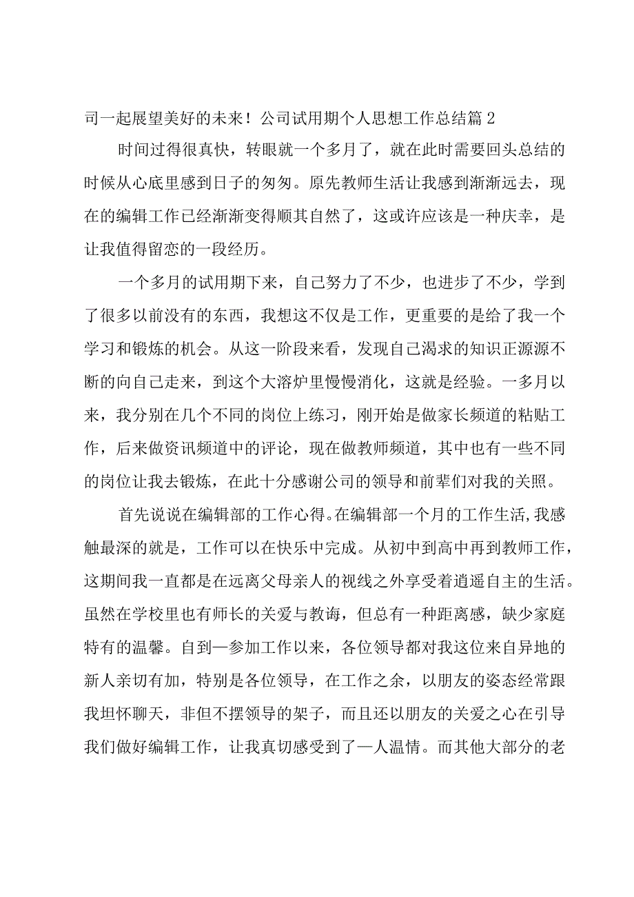 公司试用期个人思想工作总结.docx_第2页