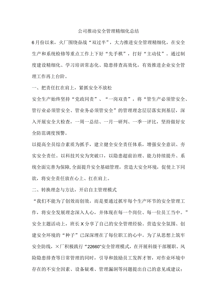 公司推动安全管理精细化总结.docx_第1页