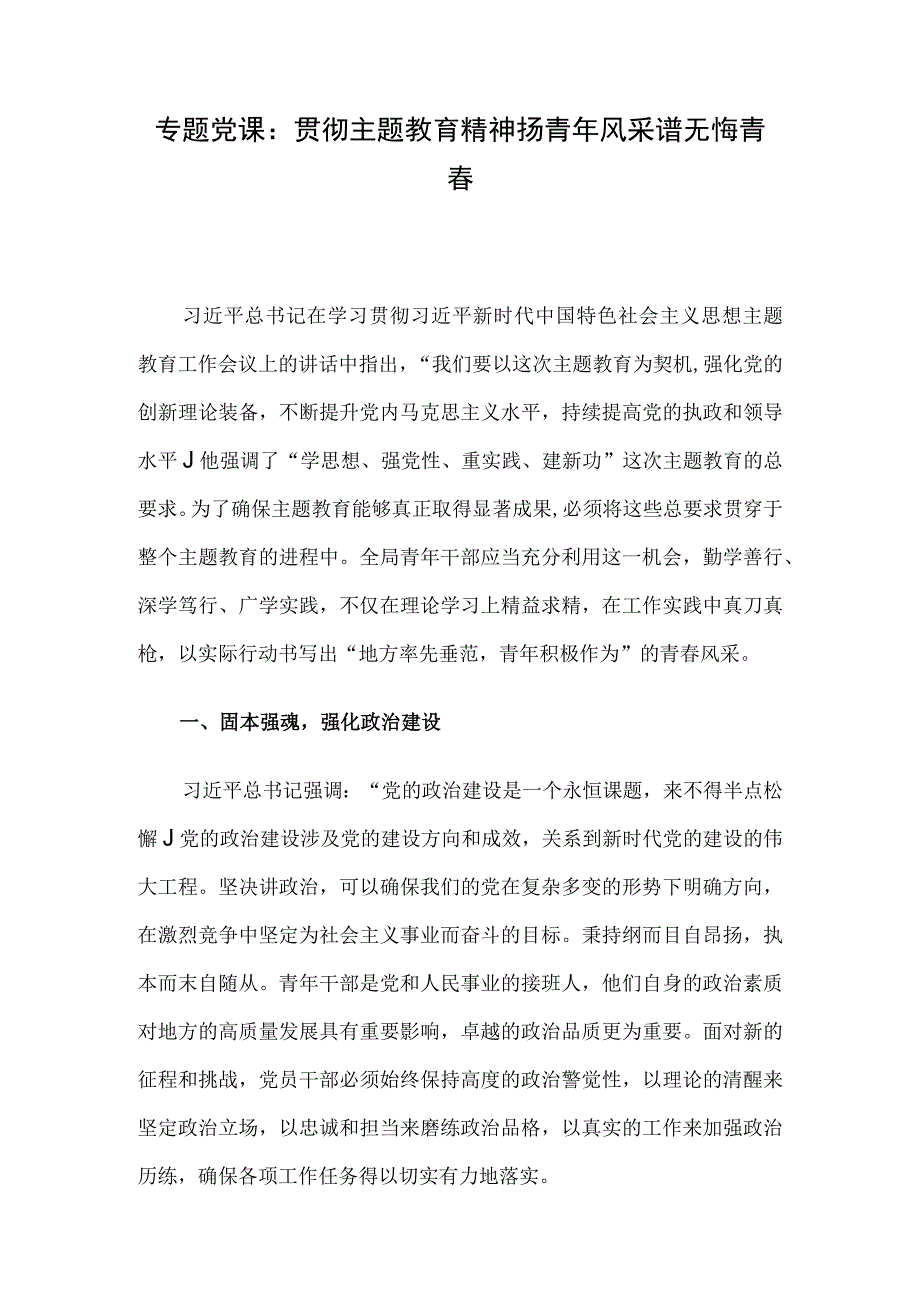 专题党课：贯彻主题教育精神 扬青年风采 谱无悔青春.docx_第1页