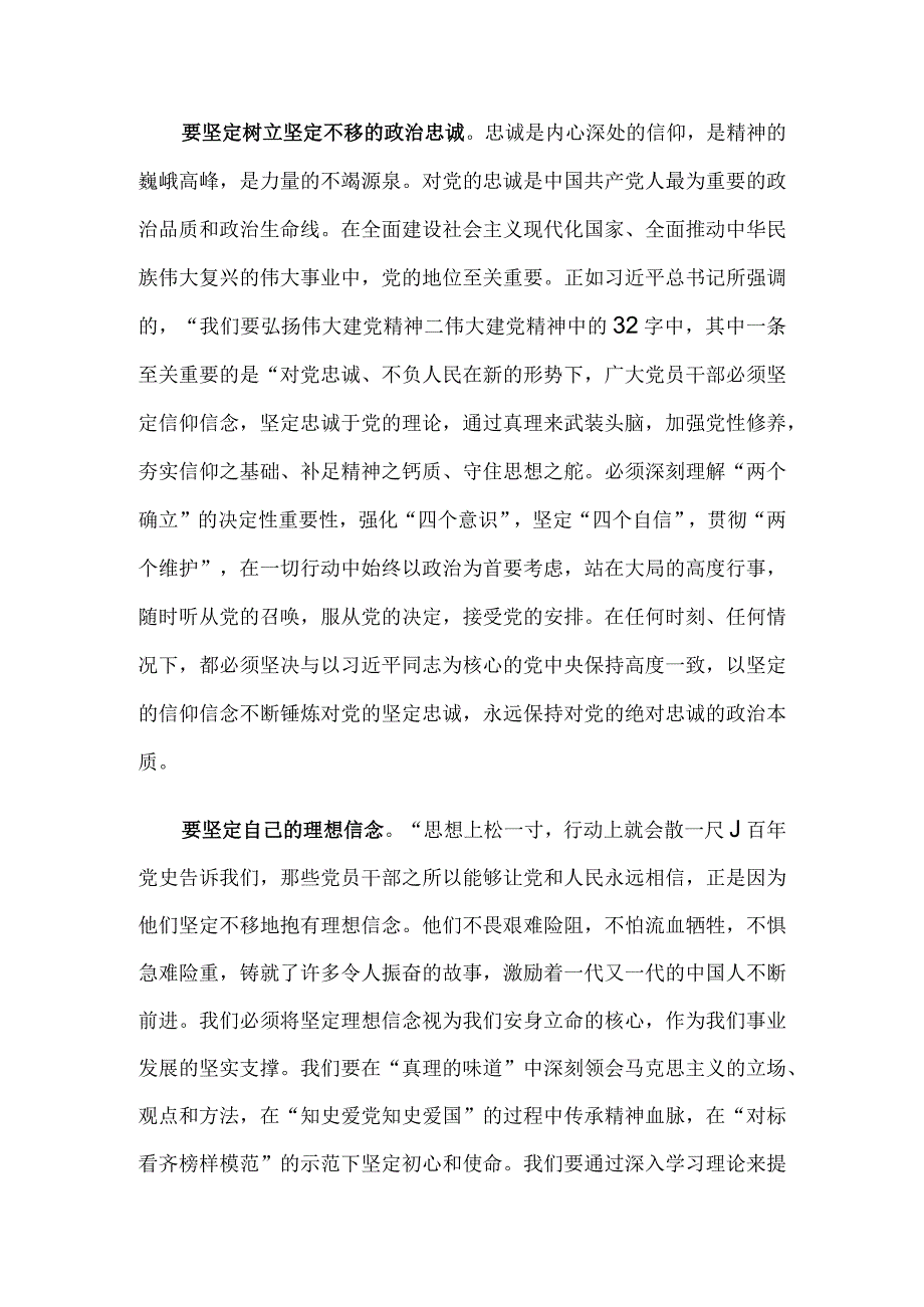 专题党课：贯彻主题教育精神 扬青年风采 谱无悔青春.docx_第2页