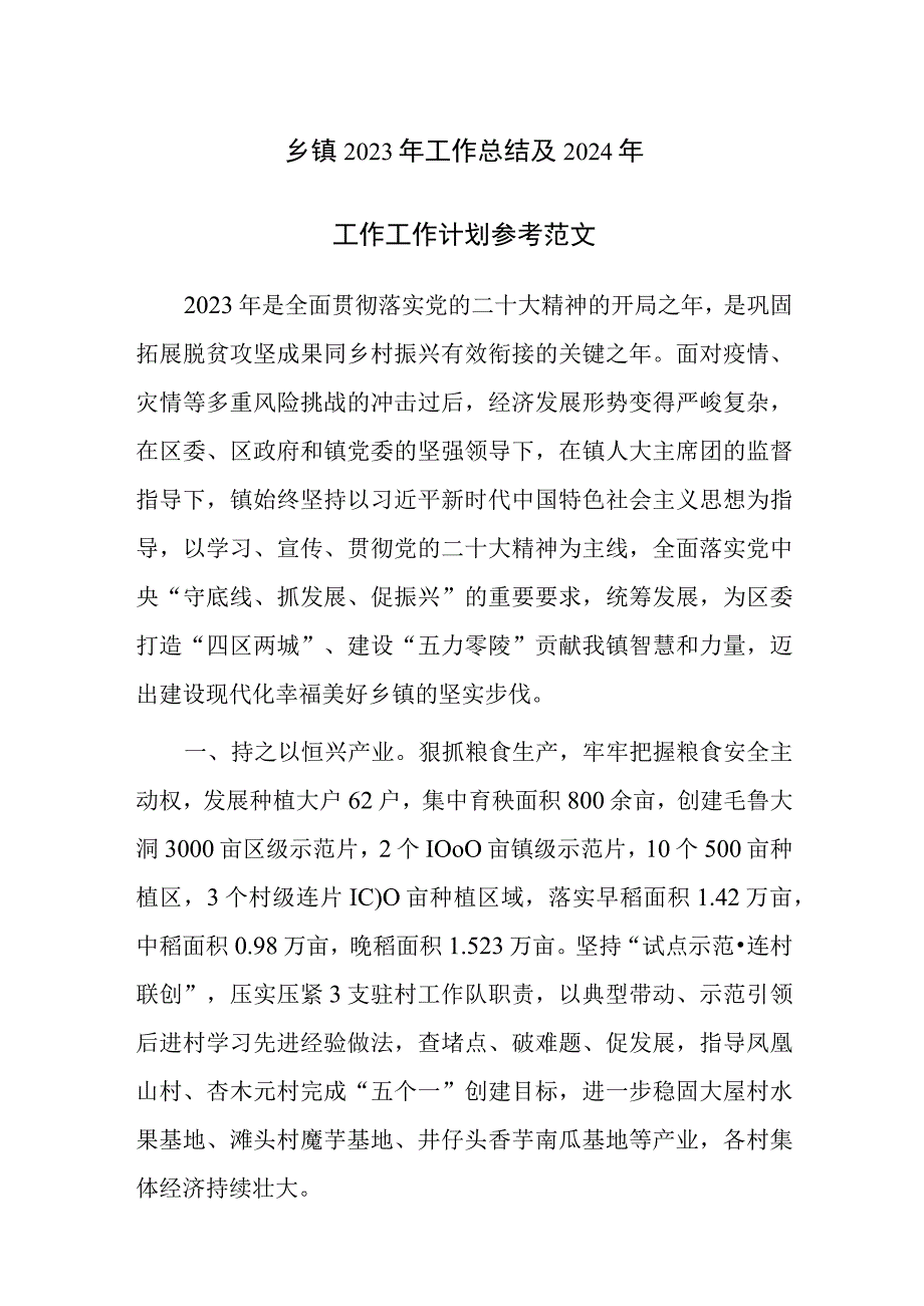 乡镇2023年工作总结及2024年工作工作计划参考范文.docx_第1页