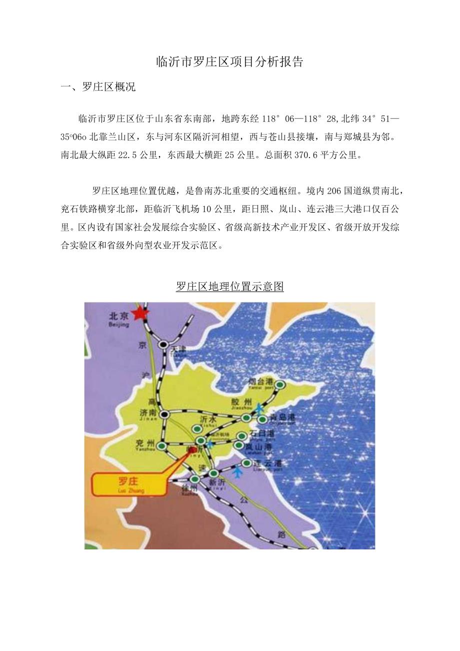 临沂市罗庄区项目分析报告.docx_第1页