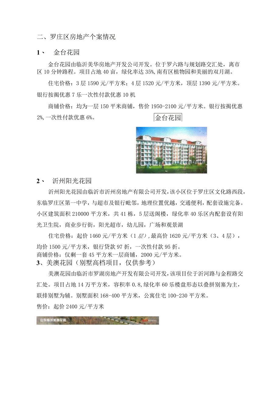 临沂市罗庄区项目分析报告.docx_第2页