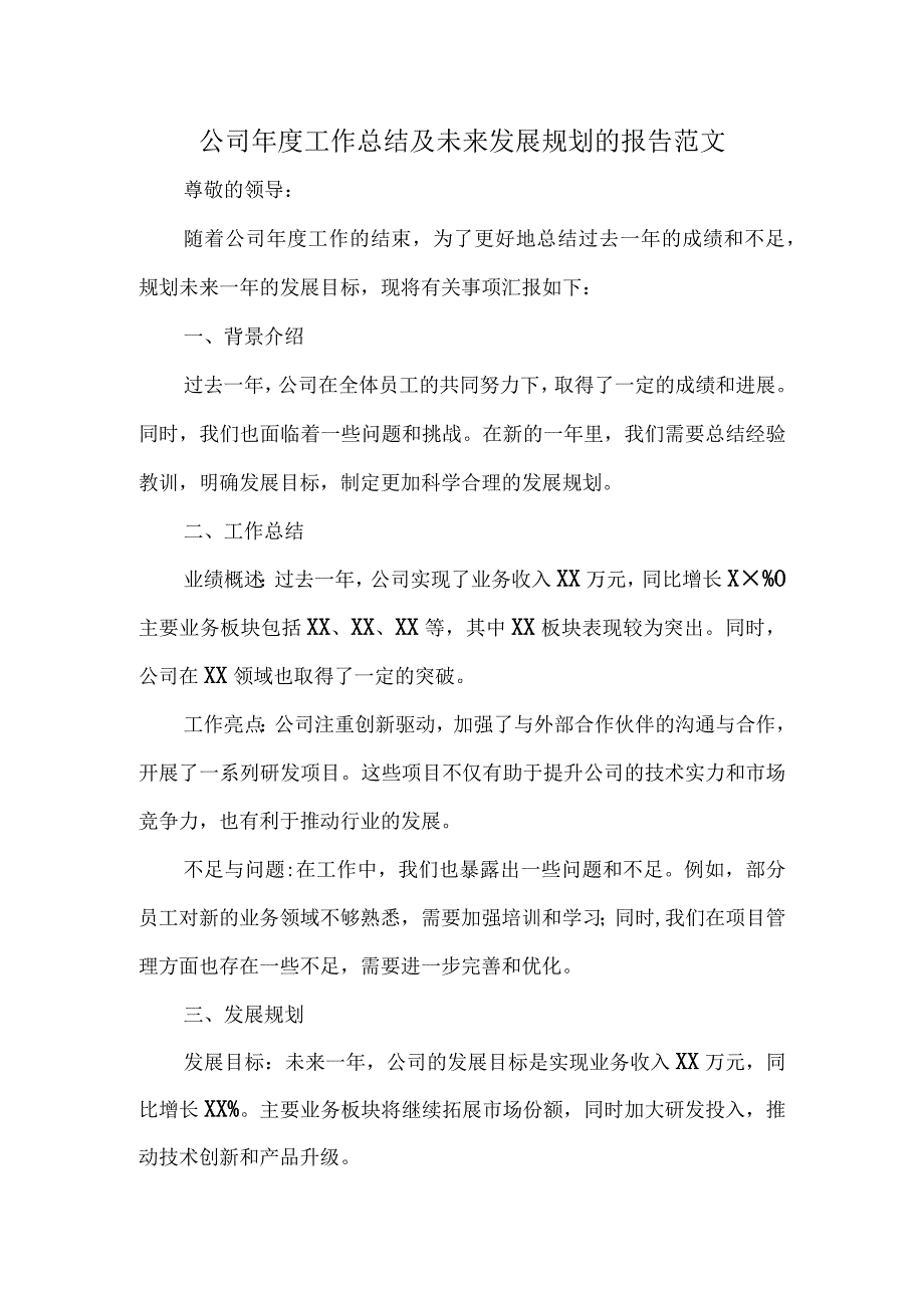 公司年度工作总结及未来发展规划的报告范文.docx_第1页