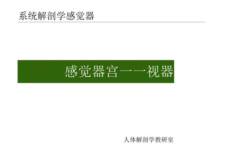 《人体解剖学》教学课件-感觉器官—视器.docx_第1页