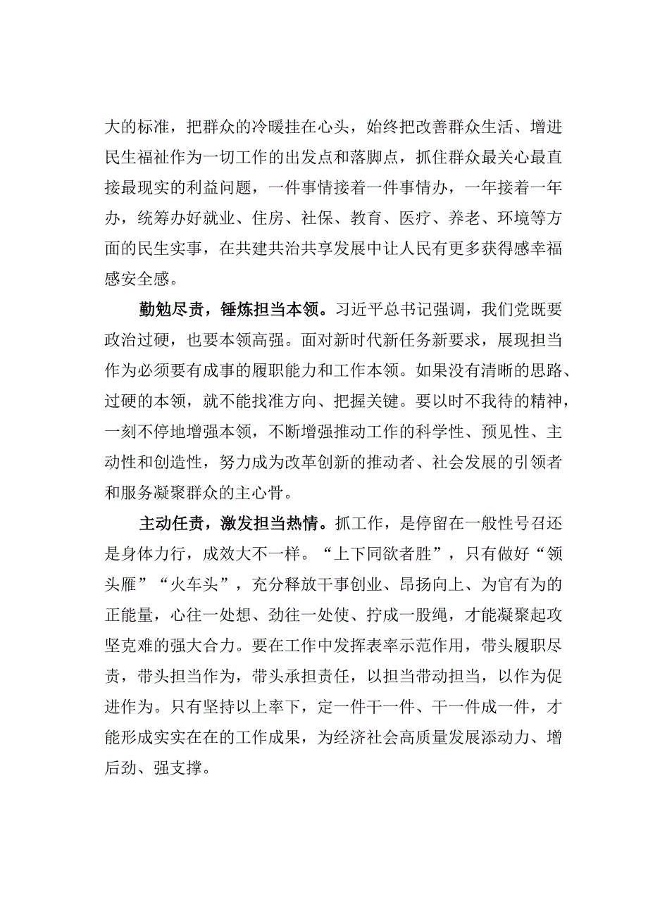 主题教育心得体会：以担当诠释忠诚以实干践行使命.docx_第2页