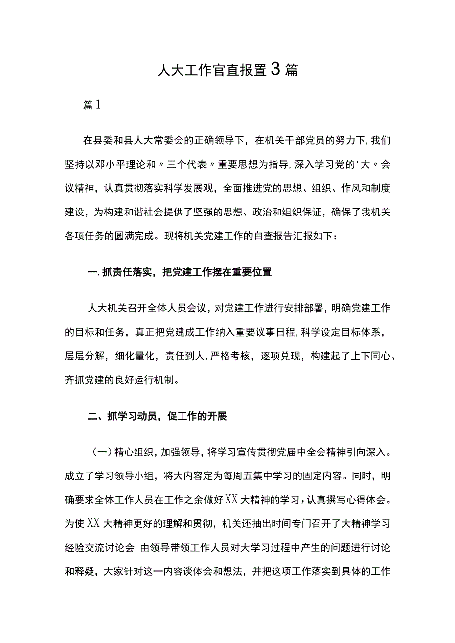 人大工作自查报告3篇.docx_第1页