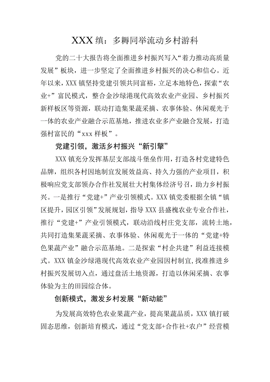 XX镇：多措并举 推动乡村振兴.docx_第1页